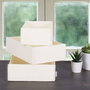 Aberto Design 6271 Set de 3 Organizadores de Escritorio de Fieltro Crema 100% Fieltro para un Espacio de Trabajo Elegante y Productivo