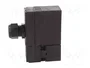 SCHMERSAL AZM 170 Interruptor de seguridad acerrojado NC x2