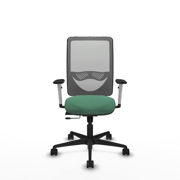PIQUERAS Y CRESPO Silla de oficina Zulema con mecanismo Sincro/Traslack, Verde esmeralda y Gris PIQUERAS Y CRESPO Silla de oficina Zulema con mecanismo Sincro/Traslack, Verde esmeralda y Gris