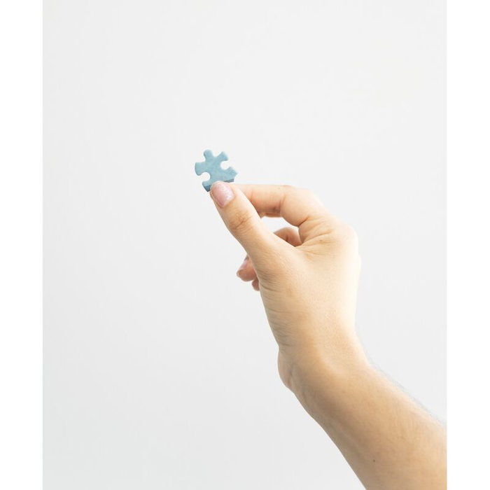 ERIK Puzzle Pocima Ravenclaw Harry Potter 322 Piezas ERIK Puzzle Pocima Ravenclaw Harry Potter 322 Piezas