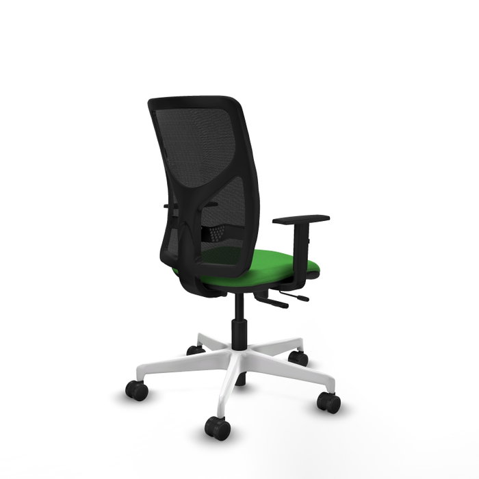 PIQUERAS Y CRESPO Silla de oficina Motilla con mecanismo Sincro/Traslack, Verde y Negro PIQUERAS Y CRESPO Silla de oficina Motilla con mecanismo Sincro/Traslack, Verde y Negro