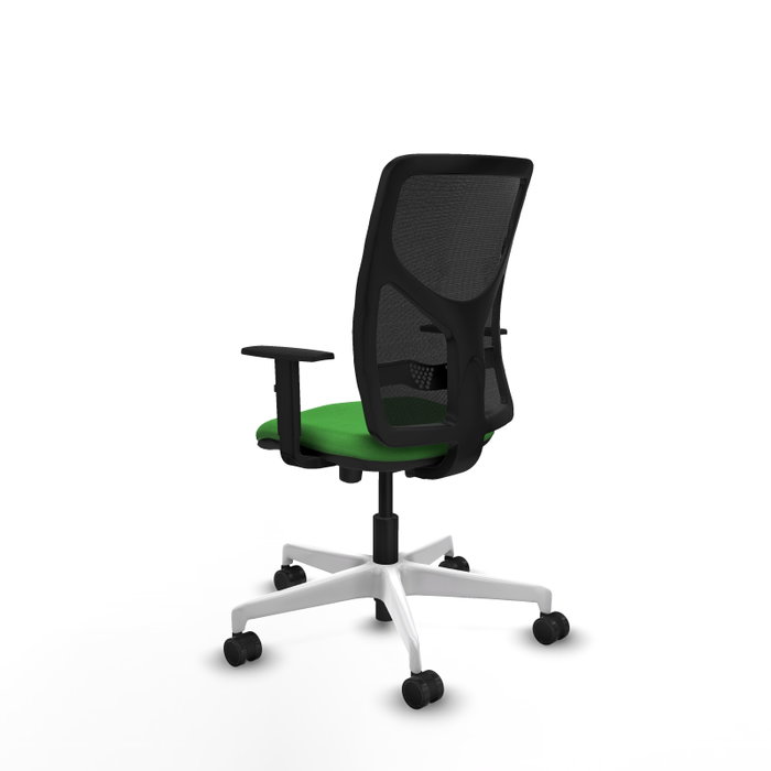 PIQUERAS Y CRESPO Silla de oficina Motilla con mecanismo Sincro/Traslack, Verde y Negro PIQUERAS Y CRESPO Silla de oficina Motilla con mecanismo Sincro/Traslack, Verde y Negro