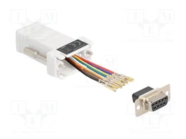 DeLOCK 67105 Adaptador VGA Hembra a RJ-45 Blanco