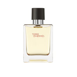 Hermès Terre d'Hermès Eau de Toilette 50 ml