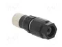 LAPP Conector M12 hembra de 4 pines recto