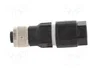 LAPP Conector M12 hembra de 4 pines recto