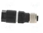 LAPP Conector M12 hembra de 4 pines recto