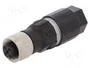 LAPP Conector M12 hembra de 4 pines recto