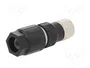 LAPP Conector M12 hembra de 4 pines recto