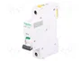 SCHNEIDER ELECTRIC Interruptor magnetotérmico iC60H 16A 1P Caract D