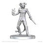Pathfinder Deep Cuts Miniaturas sin pintar Vordine (Infantry Devil) & Pitborn Rogue