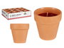 IBERGARDEN Vela Vaso Barro Geranio 8 x 8 x 8 cm (Set de 48)