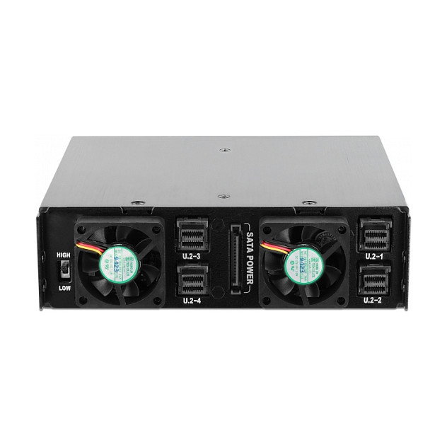 DeLOCK Bandeja para 4 Unidades SSD NVMe U.2 de 2.5 pulgadas en Bahía de 5.25 pulgadas con Bandejas Bloqueables - Negro