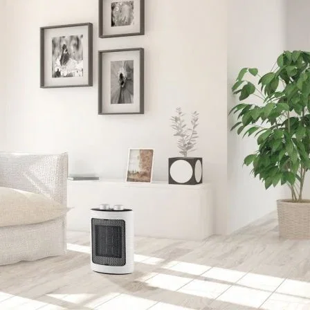 Calefactor Blaupunkt BP1001/ 1500W/ Termostato Regulable