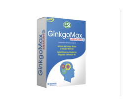 Ginkgomax Memory