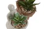 DKD Home Decor Planta Resina PE 7x9x12 Surtido de 2