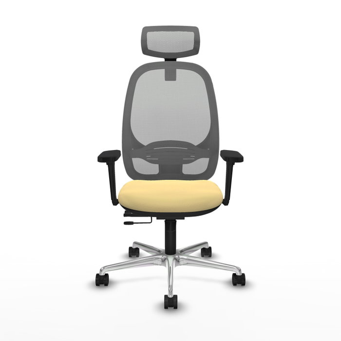 PIQUERAS Y CRESPO Silla de oficina Cilanco con mecanismo Sincro/Traslack Crema y Gris