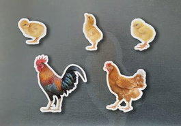 NOWORDBOOKS SCP, Magnéticos familia gallinas