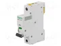 Schneider Automat B 10A 1-polig A9F03110 IC60N