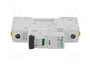 Schneider Automat B 10A 1-polig A9F03110 IC60N
