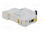 Schneider Automat B 10A 1-polig A9F03110 IC60N
