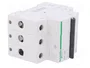 SCHNEIDER ELECTRIC Interruptor magnetotérmico ACTI9 K60N 32A 3 polos 6kA