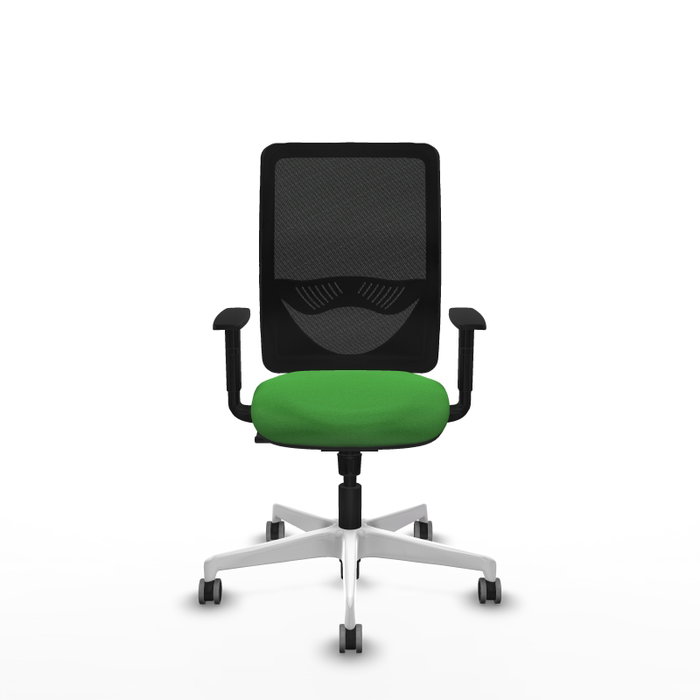 PIQUERAS Y CRESPO Silla de oficina Zulema con mecanismo Sincro Verde y Negro PIQUERAS Y CRESPO Silla de oficina Zulema con mecanismo Sincro Verde y Negro