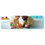 LEGO DUPLO Disney Fiesta de Cumpleaños de Winnie the Pooh