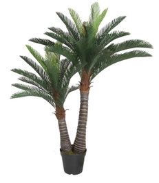 DKD Home Decor Planta Cycas Verde 60x60x160 cm