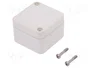 BOPLA EUROMAS Carcasa Universal IP66 Gris Claro