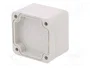 BOPLA EUROMAS Carcasa Universal IP66 Gris Claro