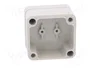 BOPLA EUROMAS Carcasa Universal IP66 Gris Claro