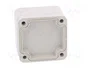 BOPLA EUROMAS Carcasa Universal IP66 Gris Claro