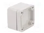 BOPLA EUROMAS Carcasa Universal IP66 Gris Claro