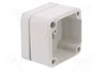 BOPLA EUROMAS Carcasa Universal IP66 Gris Claro