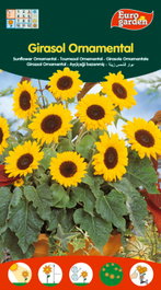 FITO Semillas de Girasol Ornamental