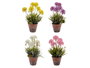 Ibergarden Flor Artificial Maceta de Cemento 43 cm, Surtidos en Amarillo, Blanco, Morado y Rosa, 24x43x24 cm (Set de 8)
