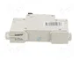 Promfactor Baltic Interruptor magnetotérmico ECO 50A 1 Polo Característica B