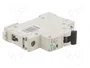 Promfactor Baltic Interruptor magnetotérmico ECO 50A 1 Polo Característica B
