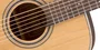 Takamine GD20 NS Guitarra Acústica Dreadnought