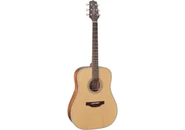 Takamine Guitarra GD20 Dreadnought - Satin Natural