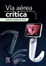 ELSEVIER EDITORIAL, Via aerea critica