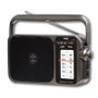 SAMI Radio Sami AC/DC 2 bandas ruedas XL gris