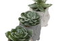 DKD Home Decor Figura Búho Cactus de Cemento y PVC