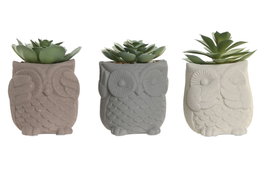 DKD Home Decor Figura Búho Cactus de Cemento y PVC