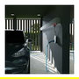go-eCharger Gemini flex, 11 kW (16A 3-phasig) Estación de Carga Móvil Blanco/Negro Tipo 2