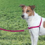 Petsafe Easy Walk Arnés Extra Grande Rojo