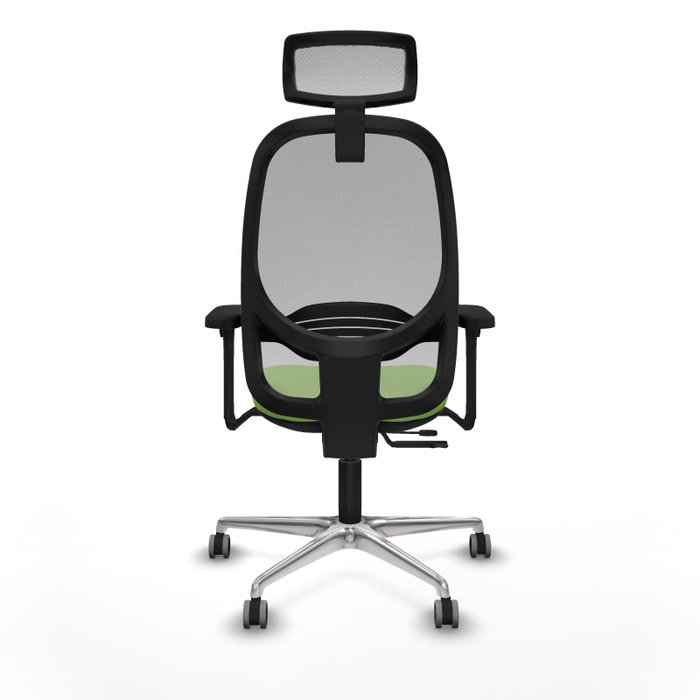 PIQUERAS Y CRESPO Silla de oficina Cilanco con mecanismo Sincro/Traslack, Pistacho y Gris PIQUERAS Y CRESPO Silla de oficina Cilanco con mecanismo Sincro/Traslack, Pistacho y Gris