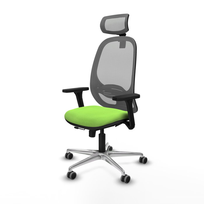 PIQUERAS Y CRESPO Silla de oficina Cilanco con mecanismo Sincro/Traslack, Pistacho y Gris PIQUERAS Y CRESPO Silla de oficina Cilanco con mecanismo Sincro/Traslack, Pistacho y Gris