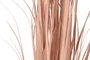 DKD Home Decor Planta de Junco Coral y Negro 35x35x115 cm